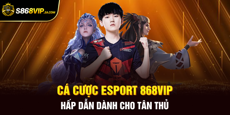 Cá cược Esport 868vip hấp dẫn dành cho tân thủ