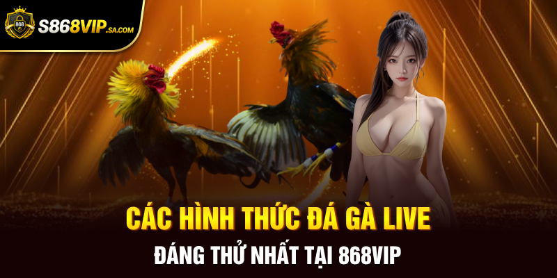 Các hình thức đá gà live đáng thử nhất tại 868vip