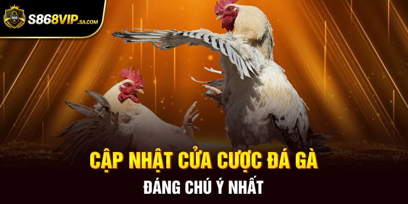Cập nhật cửa cược đá gà đáng chú ý nhất
