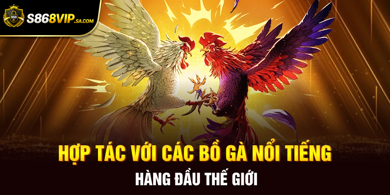 Hợp tác với các bồ gà nổi tiếng hàng đầu thế giới
