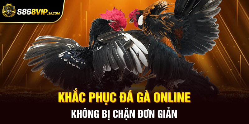 Khắc phục đá gà online không bị chặn đơn giản
