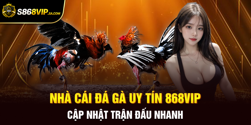 Nhà Cái Đá Gà Uy Tín 868vip - Cập Nhật Trận Đấu Nhanh