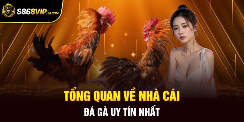 Tổng quan về nhà cái đá gà uy tín nhất